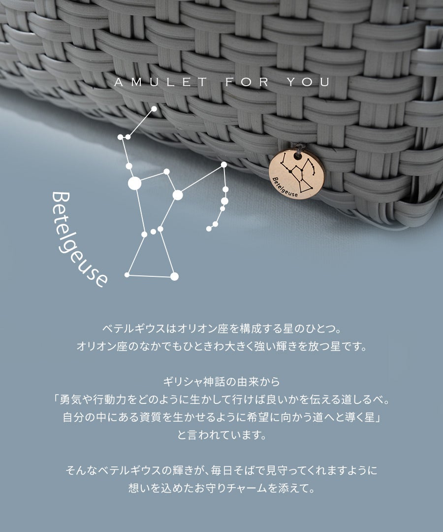 メルカドバッグ　Bacerra M ベセラ M