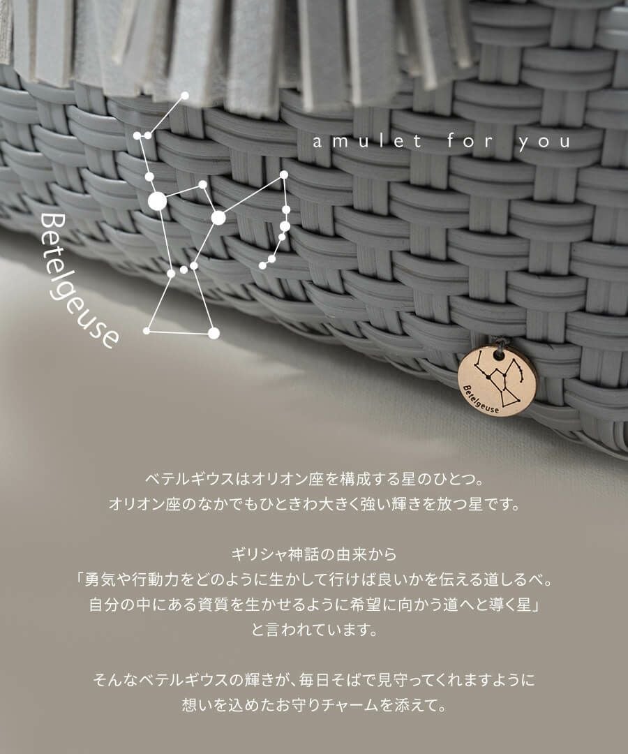 メルカドバッグ　bacerra S ベセラ S