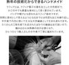  かごバッグ ショルダーバッグ 　ラフィア天然素材×本牛革 Canetta カネッタMサイズ 