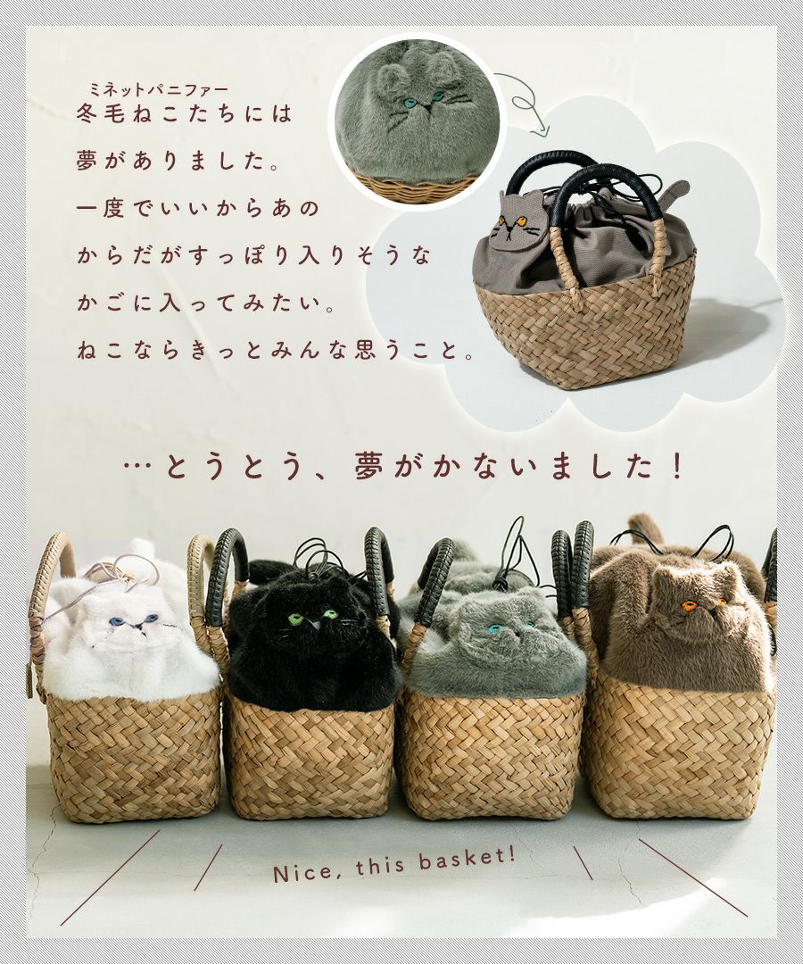 Minetpluche ミネットプリシュ｜「AIM医学研究支援プロジェクト」対象