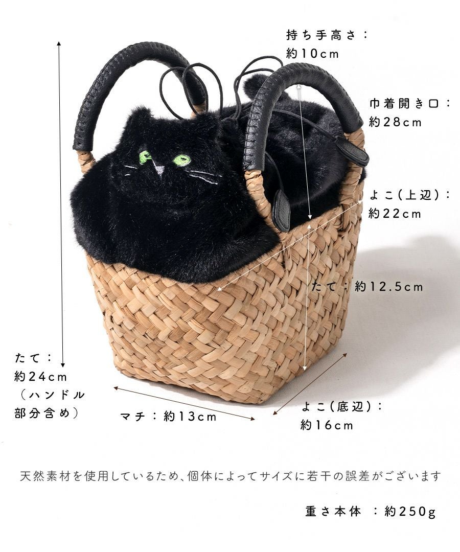 Minetpluche ミネットプリシュ｜「AIM医学研究支援プロジェクト」対象