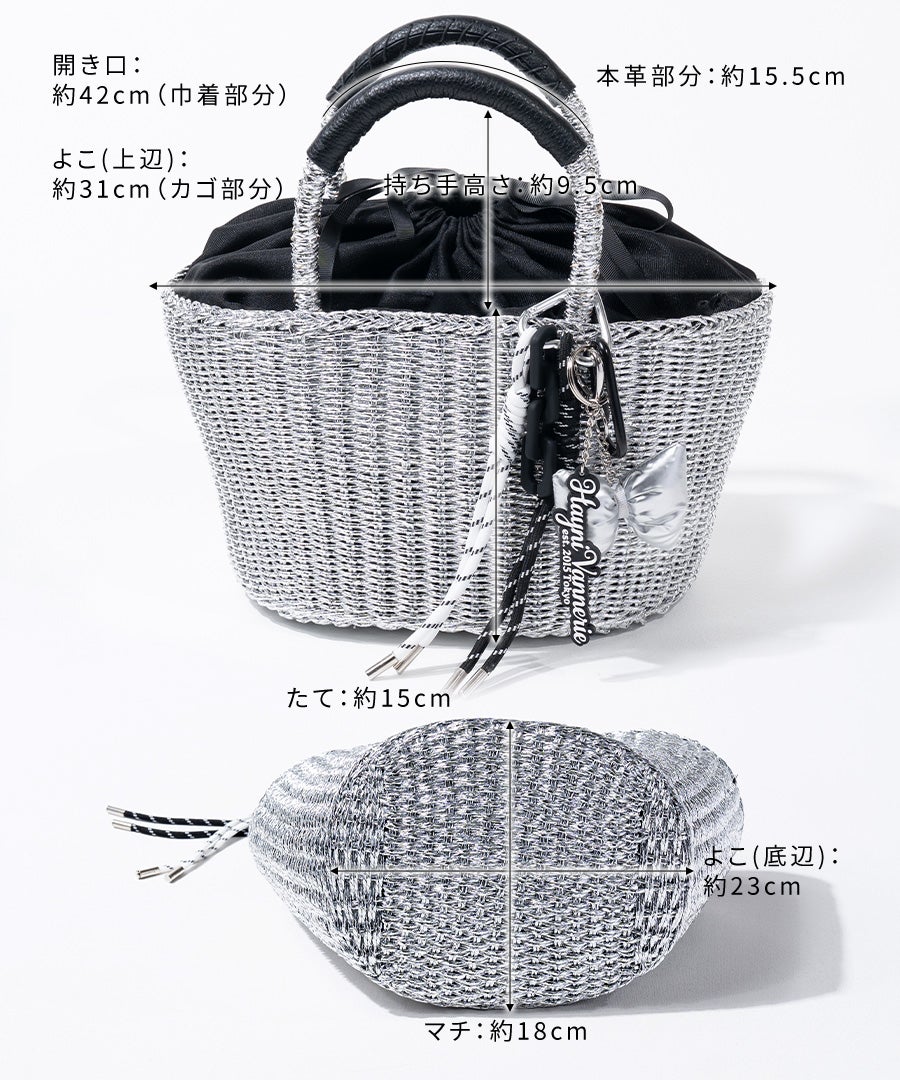 バッグ　サイズ HAYNI