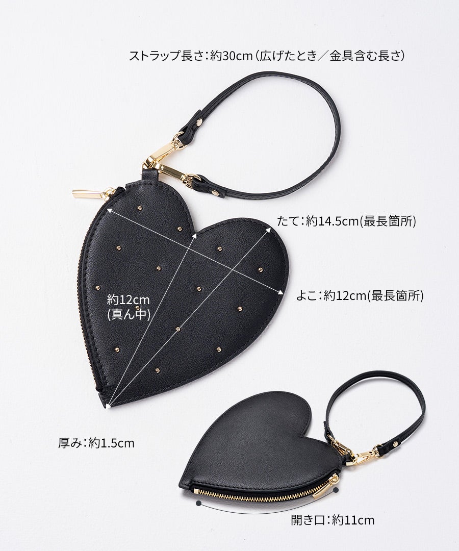 バッグ　サイズ HAYNI